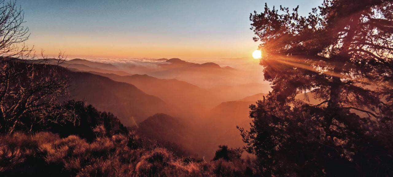 La Cabane De Marie La Bollène-Vésubie Dış mekan fotoğraf