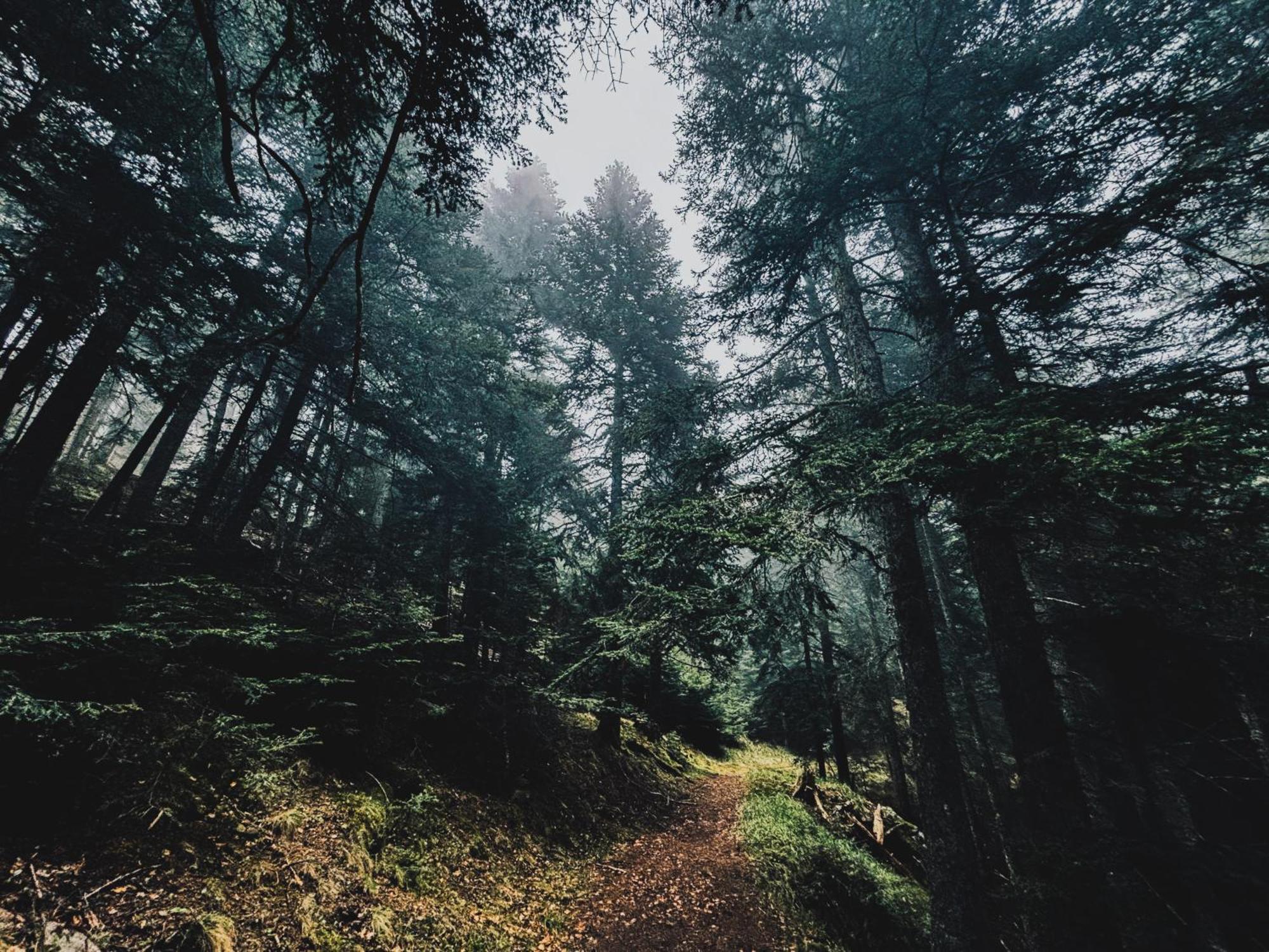 La Cabane De Marie La Bollène-Vésubie Dış mekan fotoğraf